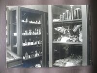 Prenten Adlib\P11623-16.jpg; P11623-01; Foto in albumPhoto in album; Fotoalbum opening Ned. Historisch Natuurwetenschappelijk MuseumFotoalbum opening Ned. Historisch Natuurwetenschappelijk Museum